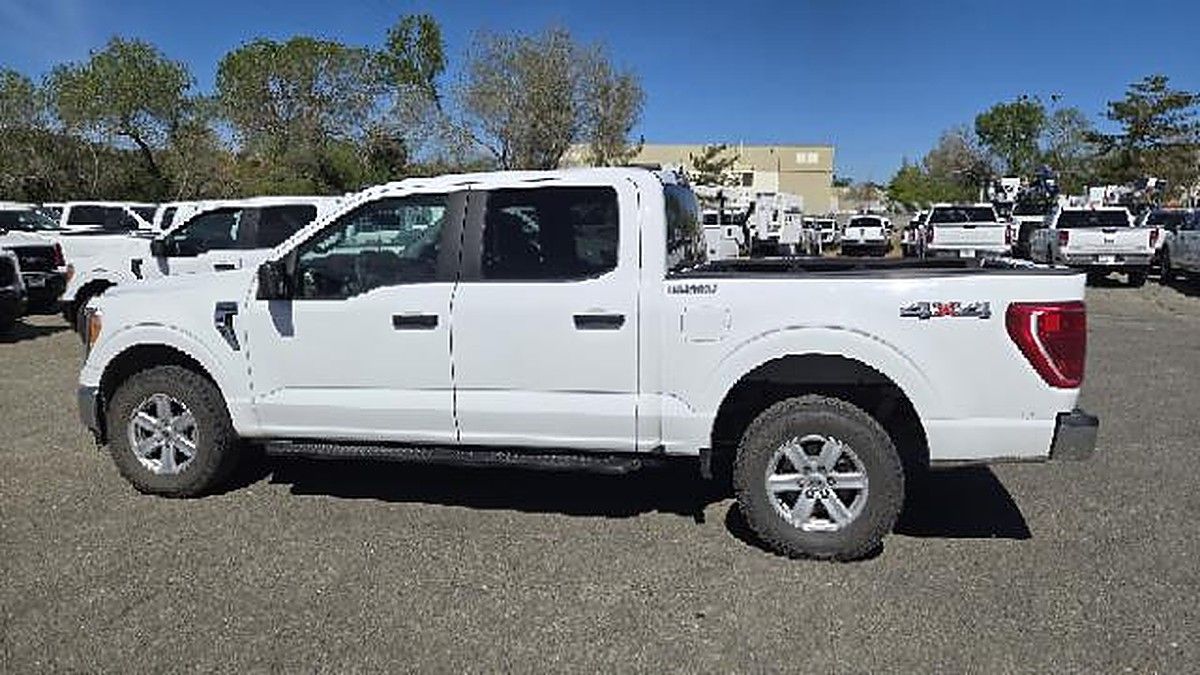 FORD F150CREWXLTG4WD photo 6