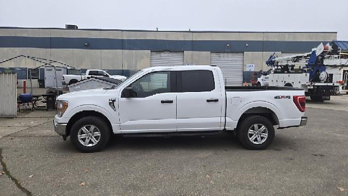FORD F150CREWXLTG4WD photo 2