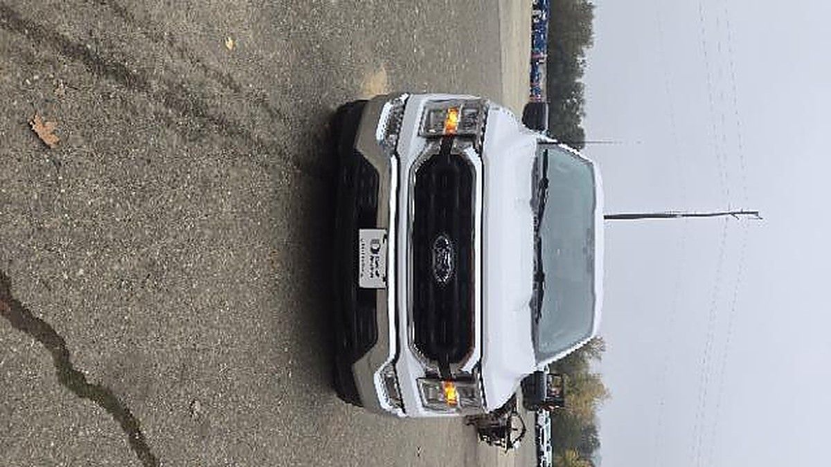 FORD F150CREWXLTG4WD photo 3