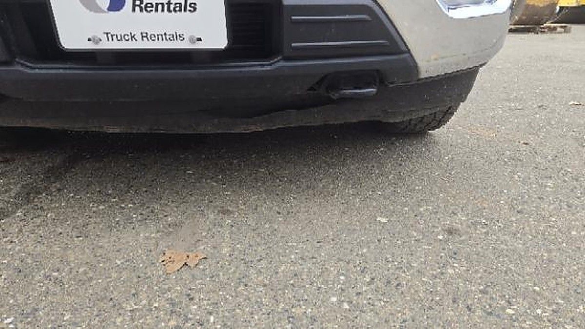 FORD F150CREWXLTG4WD photo 6