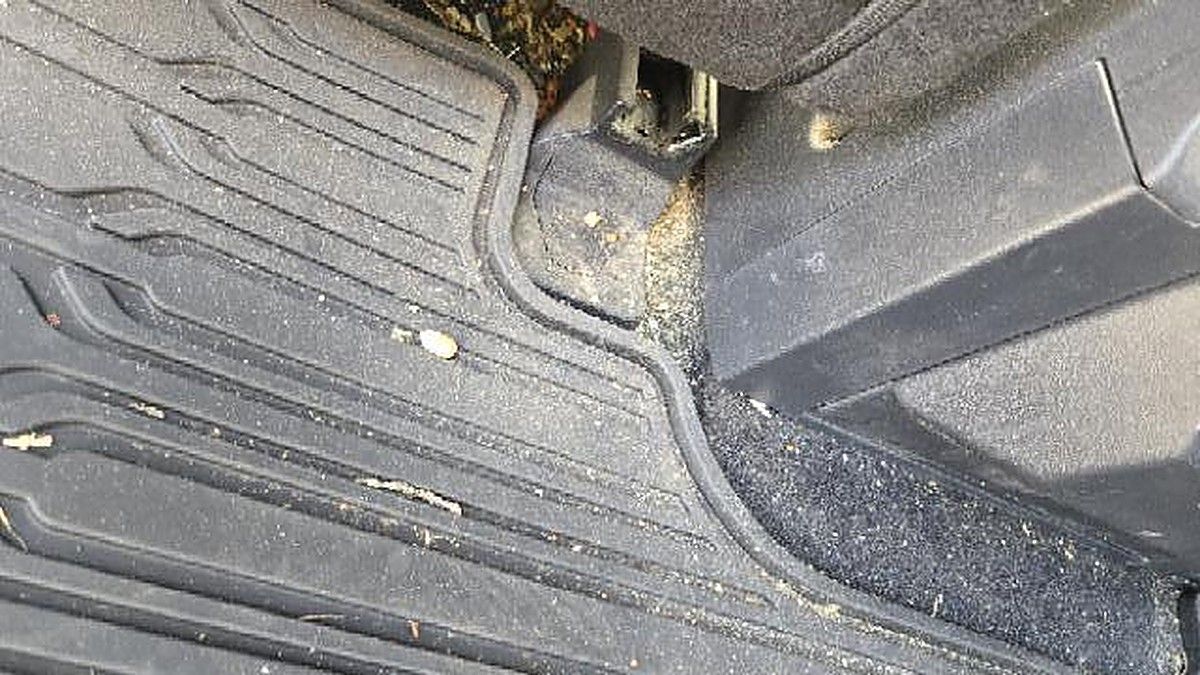 FORD F150CREWXLTG4WD photo 4