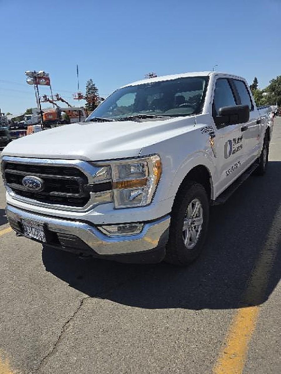 FORD F150CREWXLTG4WD photo 2