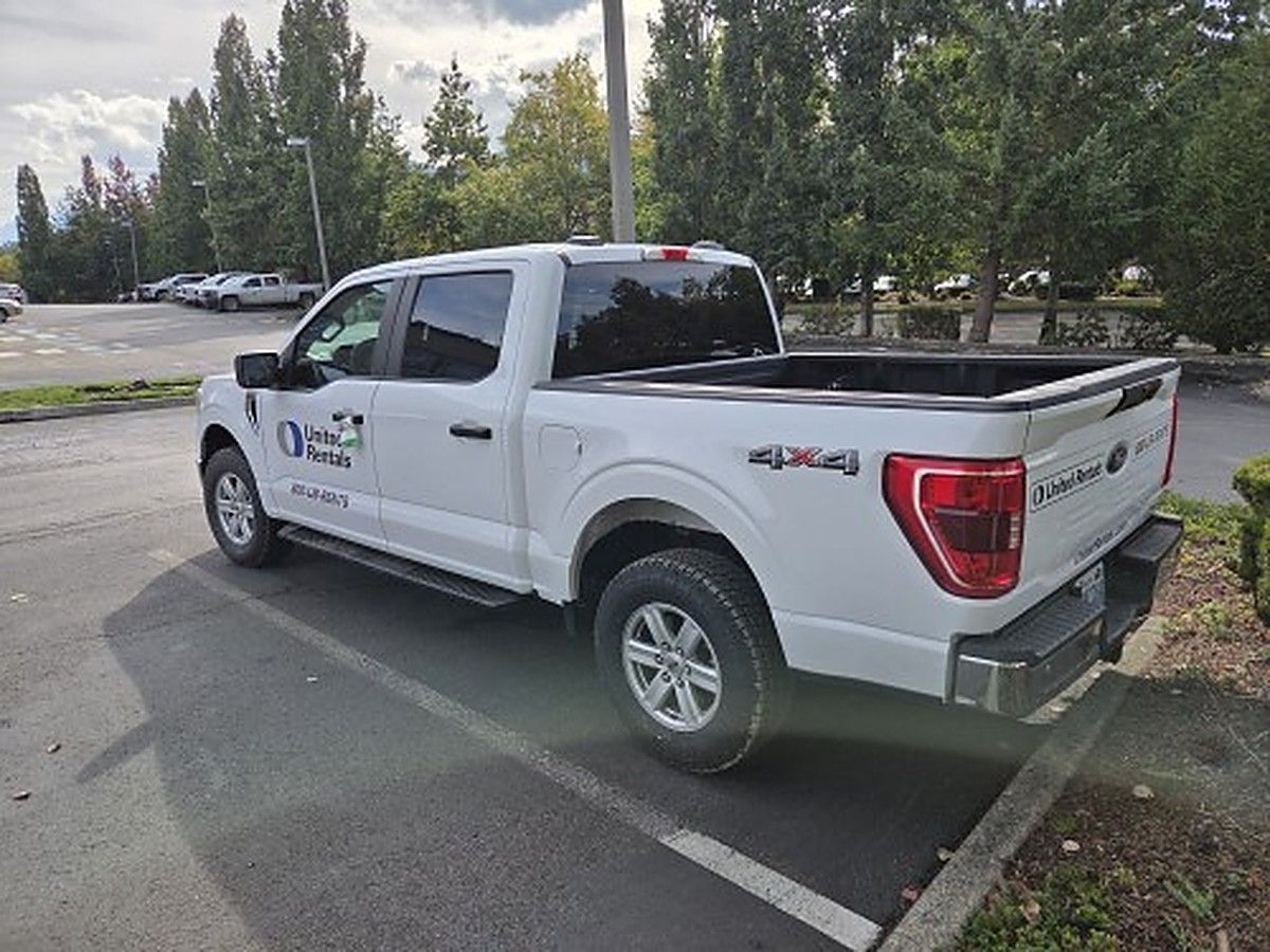 FORD F150CREWXLTG4WD photo 9