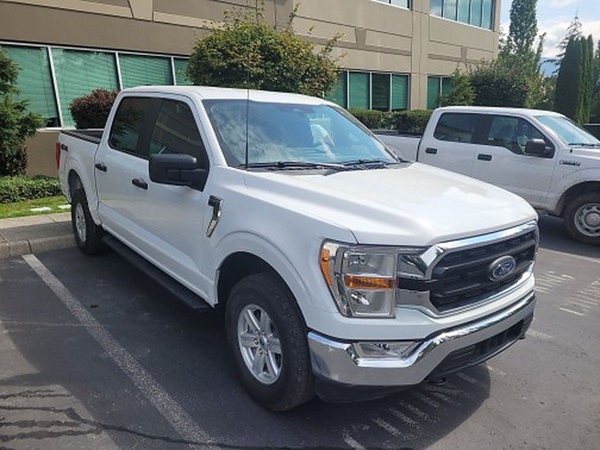 FORD F150CREWXLTG4WD photo 2