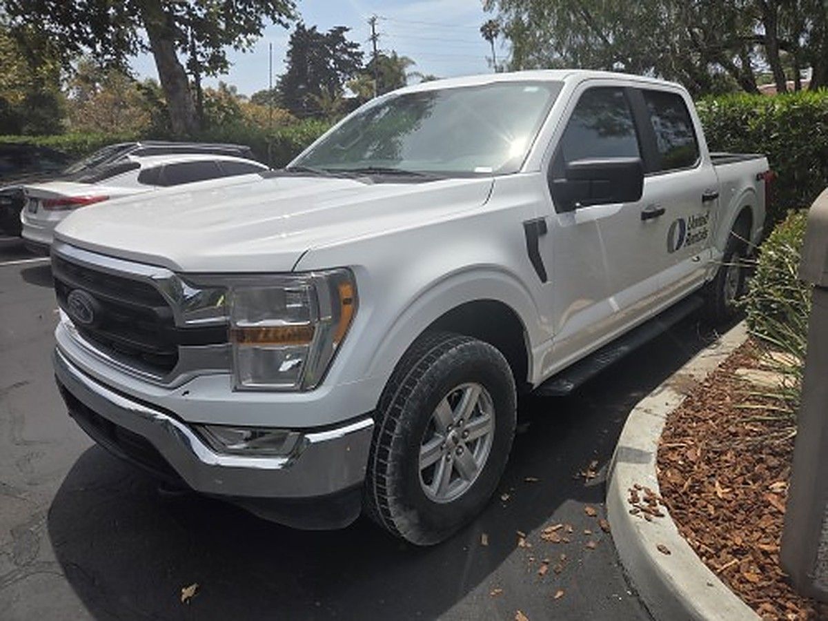 FORD F150CREWXLTG4WD photo 3