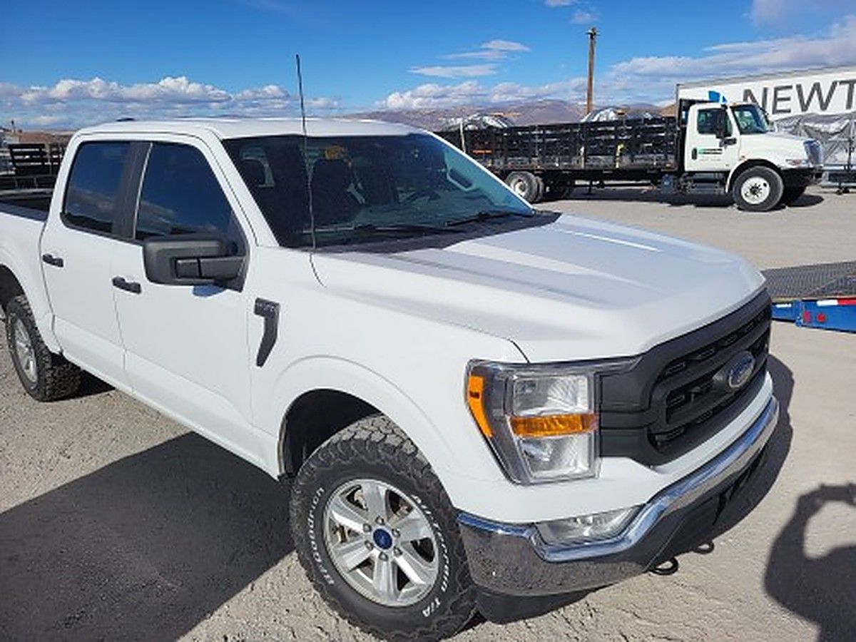 FORD F150CREWXLTG4WD photo 3