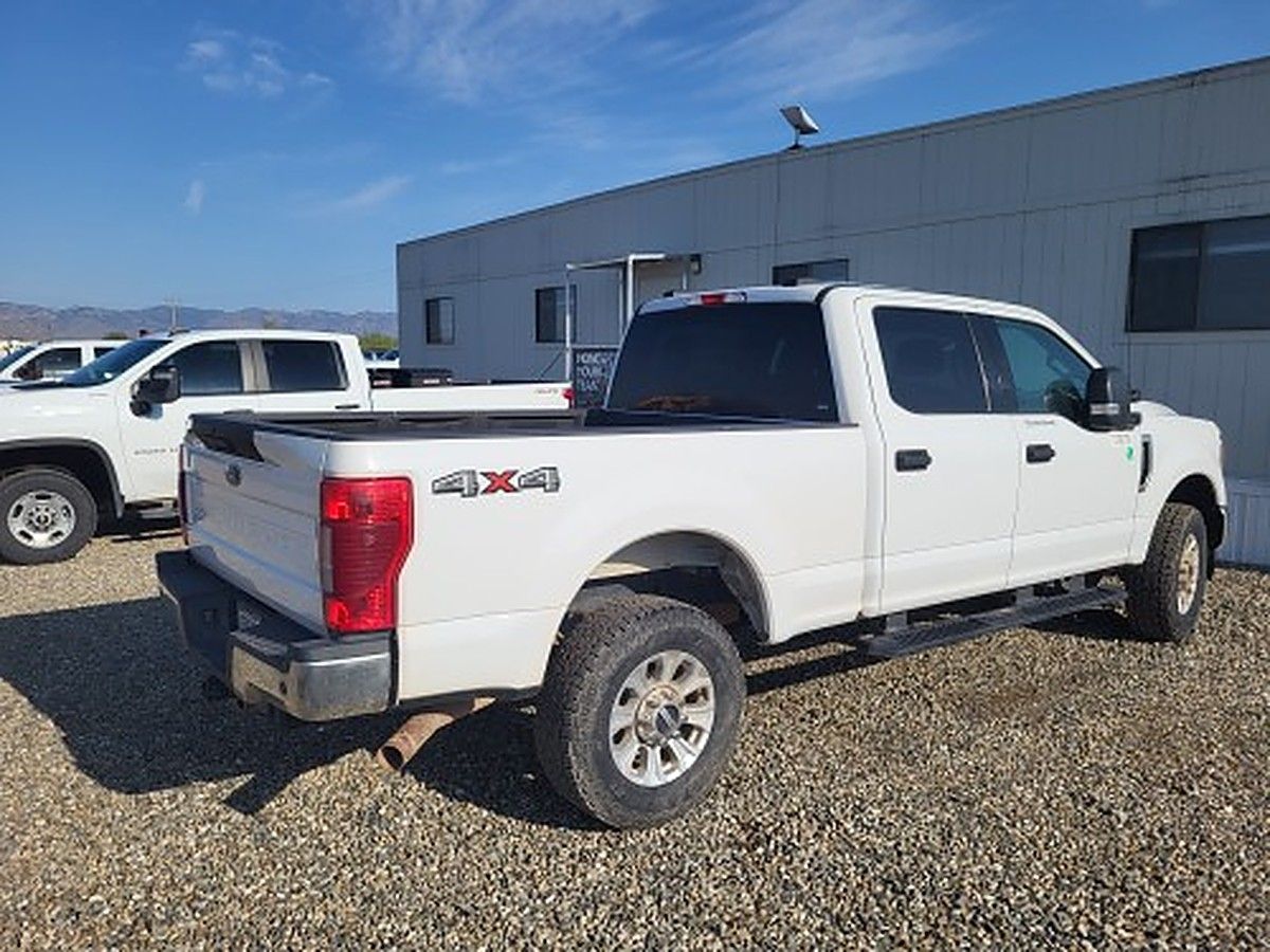 FORD F250CREWXLTG4WD photo 5