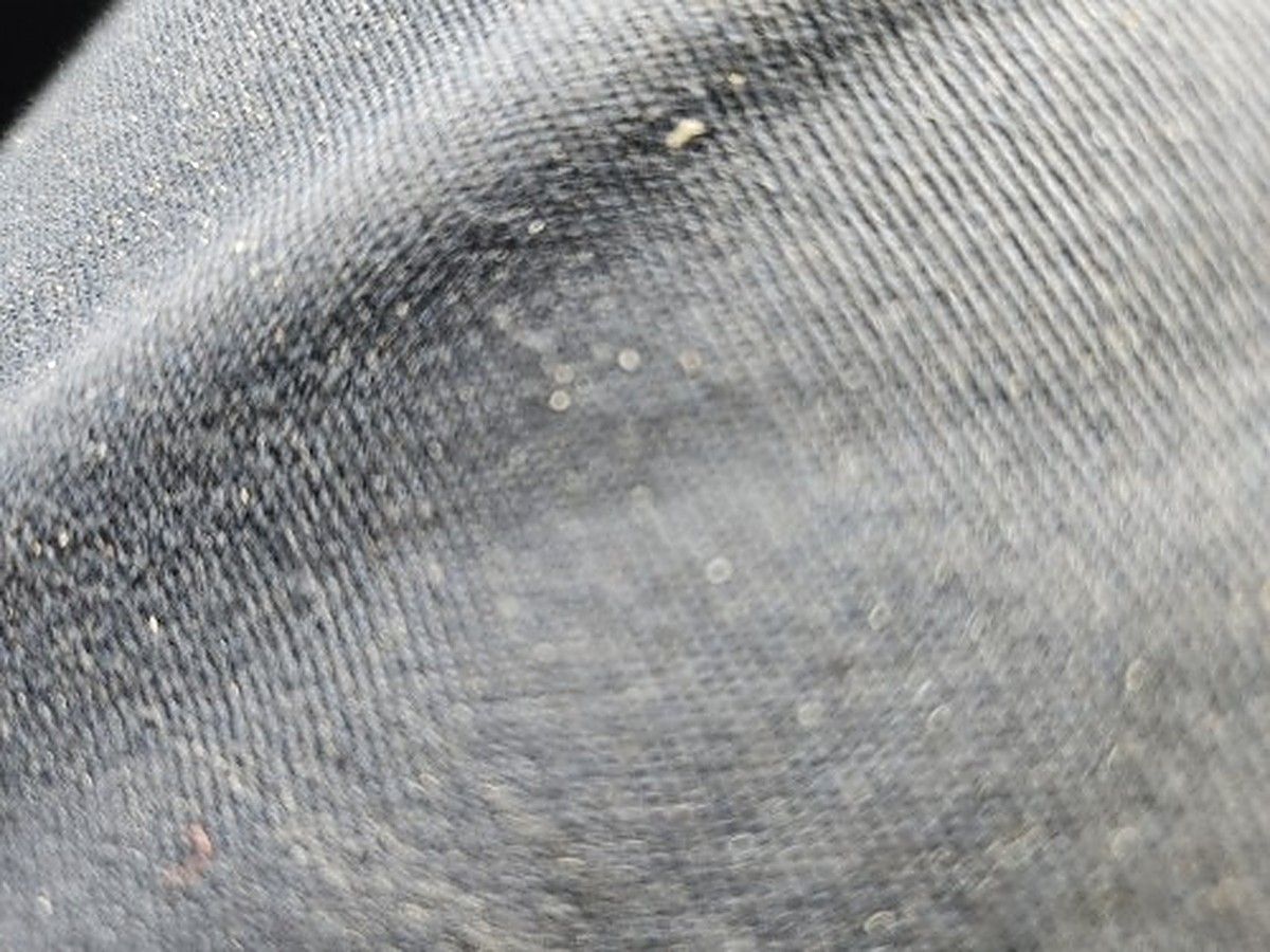 POLARIS PRO XD MID-SIZE photo 2