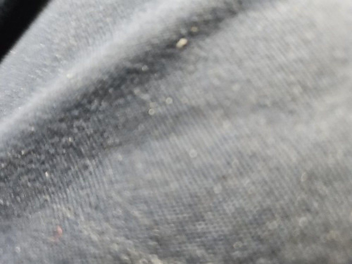 POLARIS PRO XD MID-SIZE photo 3