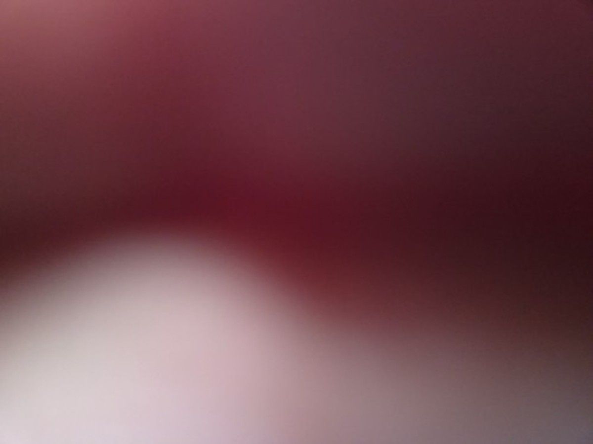 BILLY GOAT BC2600ICM photo 4
