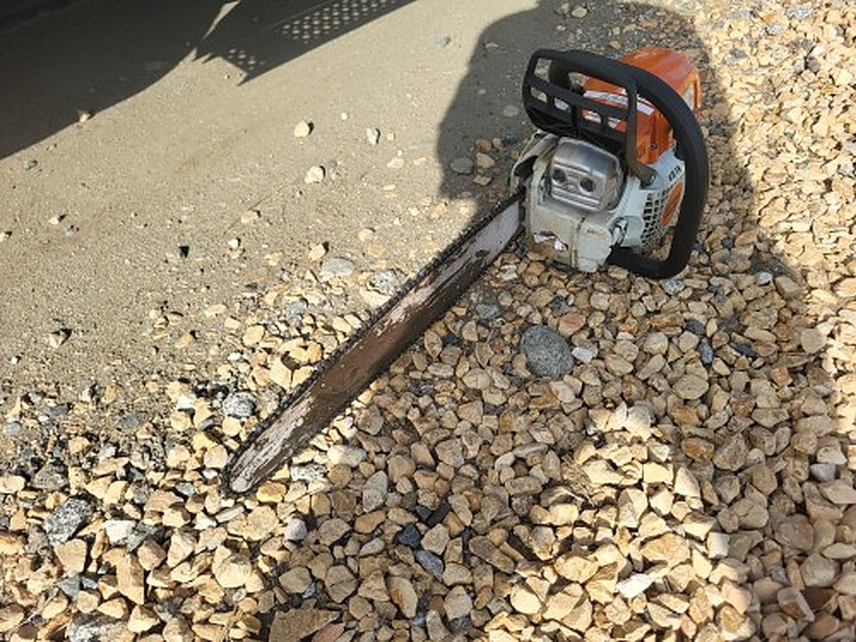 STIHL MS291 photo 2